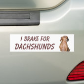 IK BRAK VOOR DACHSHUNDS BUMPERSTICKER (Op auto)