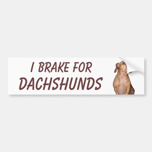 IK BRAK VOOR DACHSHUNDS BUMPERSTICKER (Voorkant)
