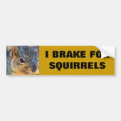 IK BRAK VOOR DE SQUIRRELS BUMPERSTICKER (Voorkant)