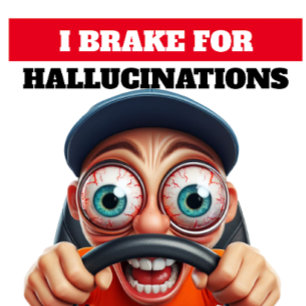 IK BRAK VOOR HALLUCINATIES BUMPERSTICKER