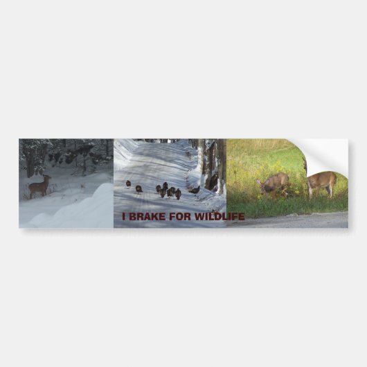 IK BREAK AAN WILDLIFE BUMPERSTICKER (Voorkant)