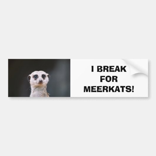 Ik breek voor Meerkats! Bumpersticker (Voorkant)