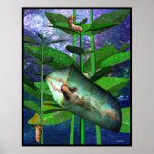 Ik Ching Meditations, Youthful Folly Poster (Voorkant)