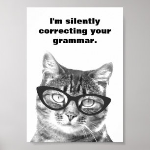 Ik corrigeer stilletjes je grammatica kat poster