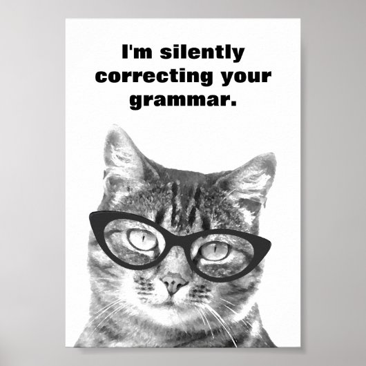 Ik corrigeer stilletjes je grammatica kat poster (Voorkant)