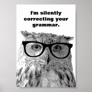 Ik corrigeer stilletjes je grammatica uil poster