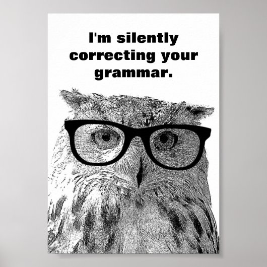 Ik corrigeer stilletjes je grammatica uil poster (Voorkant)