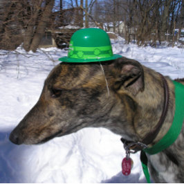 "Ik daag je uit!" Kaart