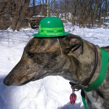 "Ik daag je uit!" kaart