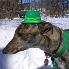 "Ik daag je uit!" kaart