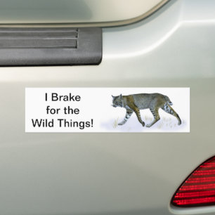 Ik daag uit voor de wilde dingen. Bobcat Bumpersticker