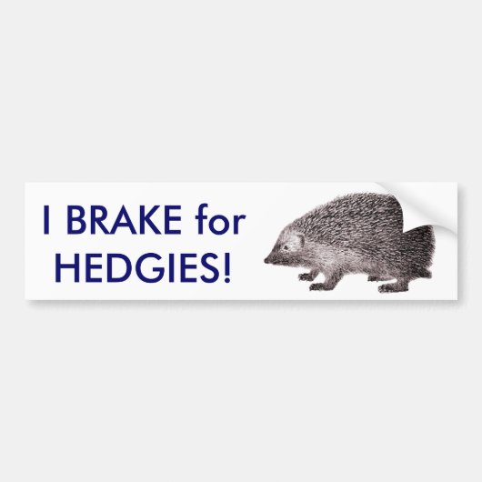 Ik daag voor HEDGIES! Sparen Egel Bumpersticker (Voorkant)