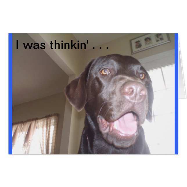 Ik dacht. . . (Voorkant Horizontaal)