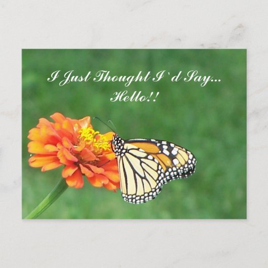 Ik dacht dat ik zou zeggen... hallo! briefkaart (Voorkant)