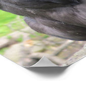 Ik dacht dat je intelligent moest zijn. poster (Hoek)