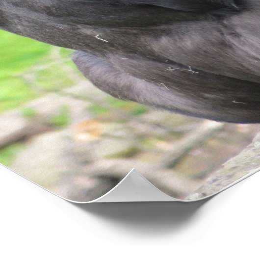 Ik dacht dat je intelligent moest zijn. poster (Hoek)