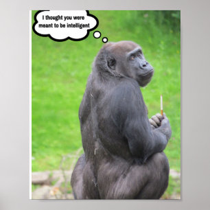 Ik dacht dat jij geacht werd intelligent te zijn. poster