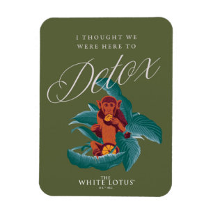 Ik dacht dat we hier waren om te detoxen - de witt magneet