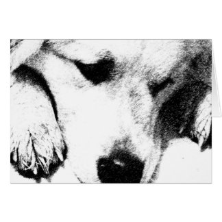 Ik dacht niet aan Kaart