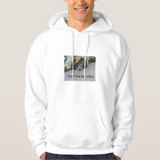 Ik deed een slechte, slechte zaak hoodie