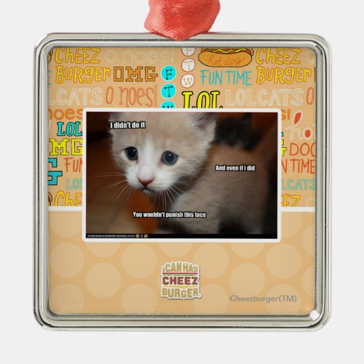 Ik deed het niet metalen ornament (Voorkant)