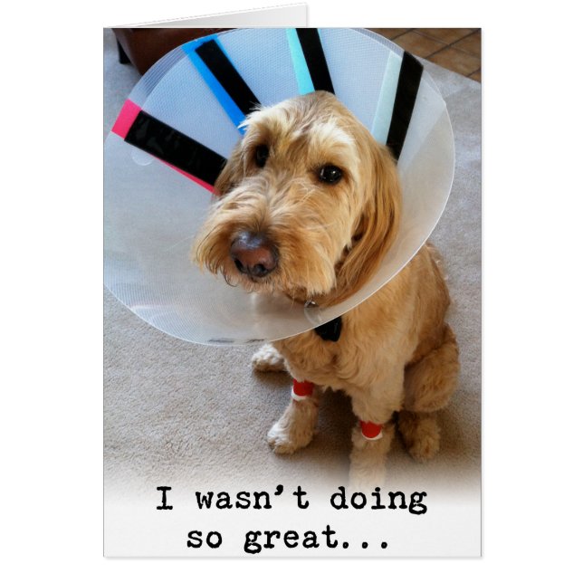 Ik deed het niet zo geweldig.. (Voorkant)