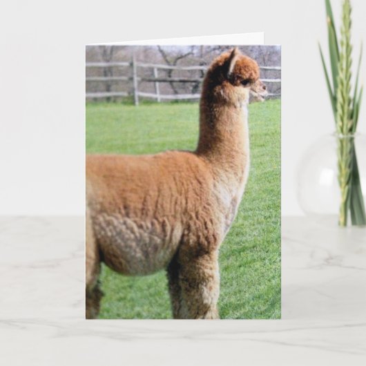 IK DEEL MIJN VERJAARDAG LIEVER MET JULLIE DAN MET  KAART (Voorkant)