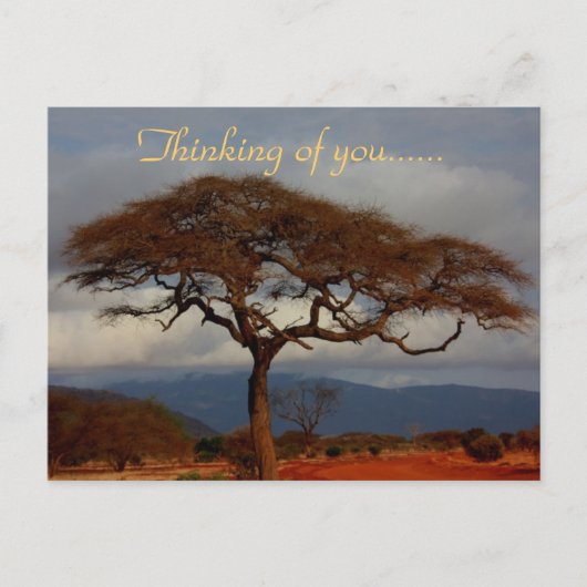 Ik denk aan jou Afrika Briefkaart (Voorkant)