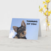 IK DENK AAN JOU! KAART (Gele Bloem)