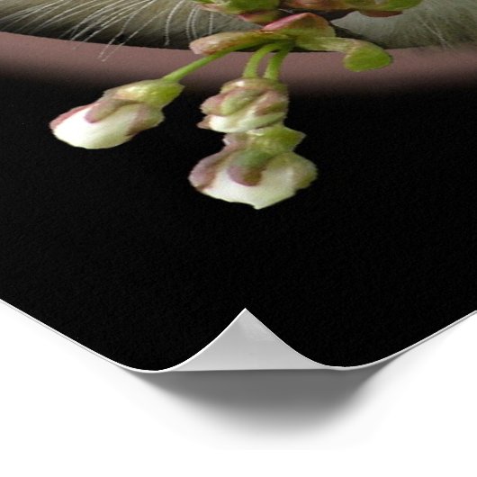 Ik denk aan jou poster (Hoek)