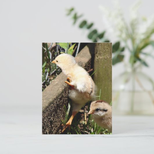 Ik denk dat ik kan briefkaart (Staand voorkant)