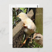 Ik denk dat ik kan briefkaart (Voorkant / Achterkant)