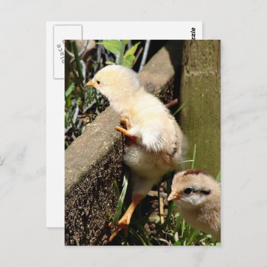 Ik denk dat ik kan briefkaart (Voorkant / Achterkant)