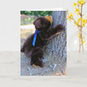 Ik denk dat ik kan kaart (Gele Bloem)