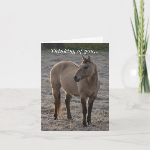 Ik denk niet  aan jou. kaart