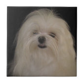 Ik doe geen top Knots MALTESE Tegeltje (Voorkant)