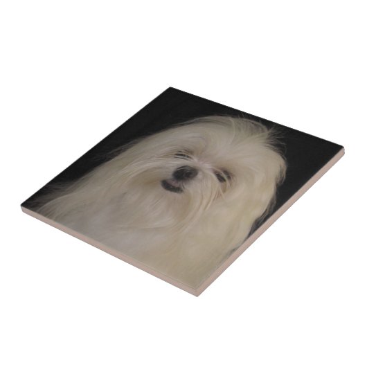 Ik doe geen top Knots MALTESE Tegeltje (Zijkant)