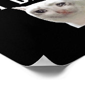 Ik doe mijn best Funny Crying Cat Meme Mannen Vrou Poster (Hoek)