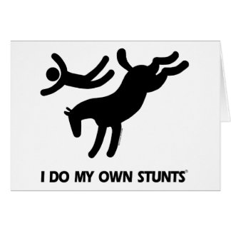Ik doe mijn eigen Stunts™ Horse: humoristisch afbe