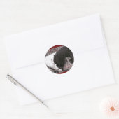 'Ik doe' Paardenenvelop zegels (Envelop)