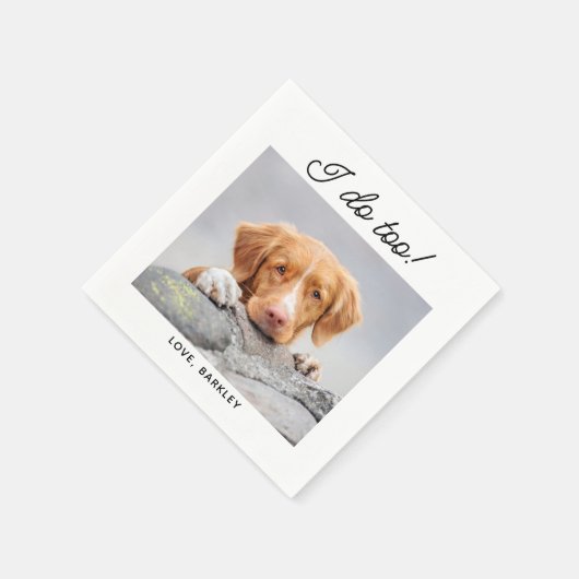 Ik doe te simpele foto's met een paardenweddenscha servet (Hoek)