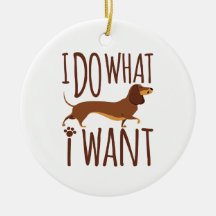 Ik doe wat ik wil dat Dachshund Doxie Dog Stubborn