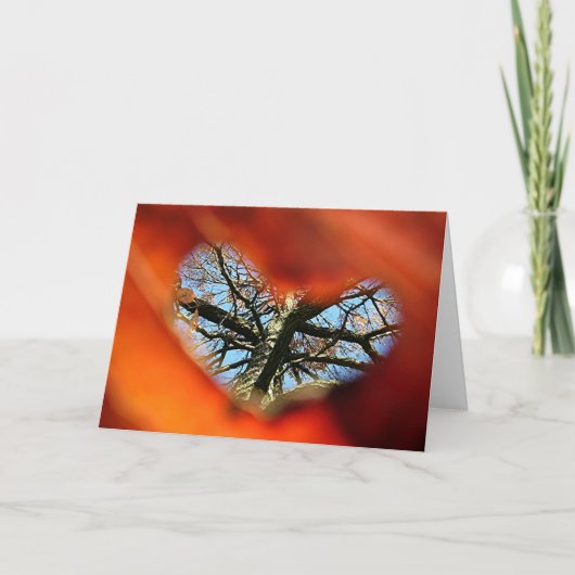 Ik draag je hart bij me kaart (Voorkant)