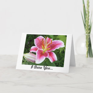 Ik durf u om van me te houden kaart