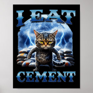 Ik eet cement vervloekte kat grappig vreemd specif poster