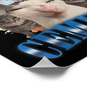 Ik eet cement vervloekte kat grappig vreemd specif poster (Hoek)
