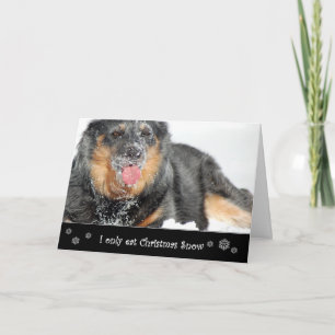 Ik eet slechts de Sneeuw van Kerstmis Feestdagen Kaart