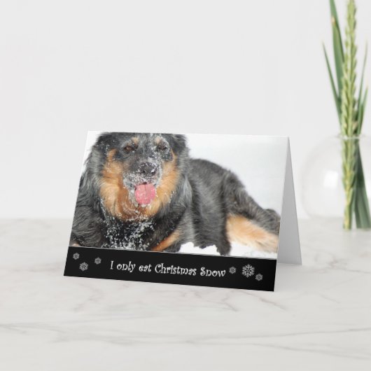 Ik eet slechts de Sneeuw van Kerstmis Feestdagen Kaart (Voorkant)