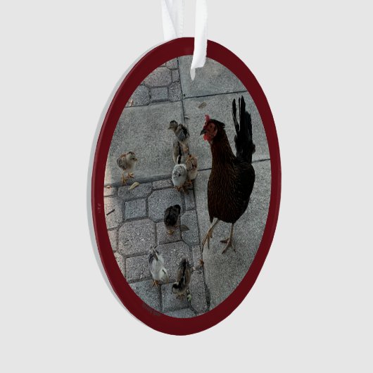 "Ik en alle kippen" Acrylkerstversiering Ornament (voorkant)