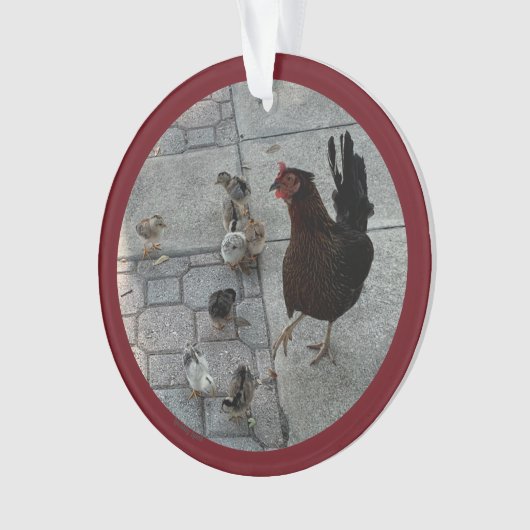 "Ik en alle kippen" Acrylkerstversiering Ornament (voorkant)